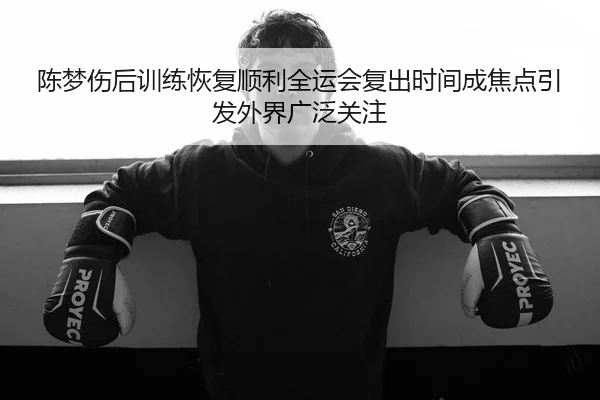 陈梦伤后训练恢复顺利全运会复出时间成焦点引发外界广泛关注